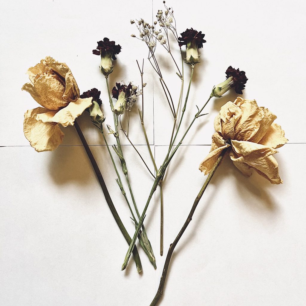 Nothing & Everything